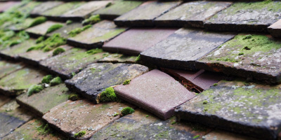 Peldon roof repair costs